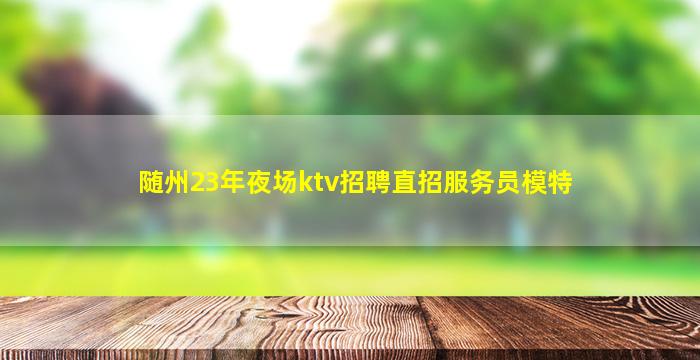 随州23年夜场ktv招聘直招服务员模特